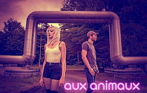 Aux animaux live at Landet